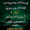 hafizameerali786