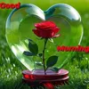 user6008519560373