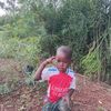 twebaze282