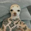 o00at