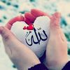 assil.f.et