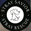 straysaviorresuce