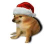 nikituus_nhbs123