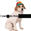 irishdogfan
