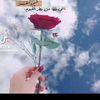 user3600280504905