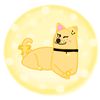 the.lemody_doge1