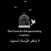 tif_alamal0