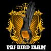 PBJ BIRD FARM 🐦🐦