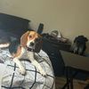 kaydence_123