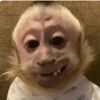 monkeyboi89