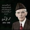 noor.wali446
