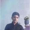 user52854727601303