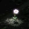 davone_03