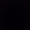 team_negro2913