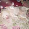 ko.shein831