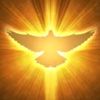 user1519567860319
