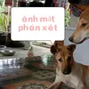 phamquangphu2005