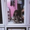khansa.jasmine7