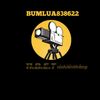 bumlua838622
