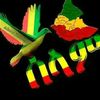 mekashawbire