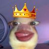rndomm14