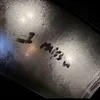 dznhatthegioi880
