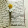 user37062dkzk