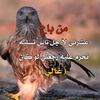 user7042433487552