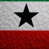 mo.abdulahi6