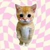 bng.xinh16