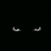 aryajuniorr_