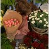 beesan.alkhlifa
