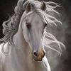 seham.mohamed155