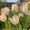 honey.kim59