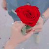 srm_604