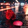 user2031357690344