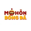 Mỏ Hỗn Bóng Đá