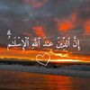 user88293678079841