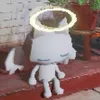 mriokie