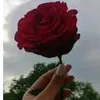 user80090341198763