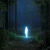 nn_o589