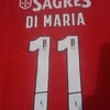 telmobenfica