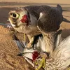 abdalhadi.almarri