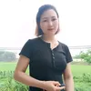 b.lin194
