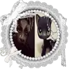 hen.qq111