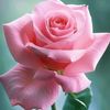 user24107000342757
