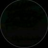 eman37953