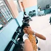 rence_fabul