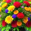 md.alom3837