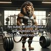 juliomaraa844